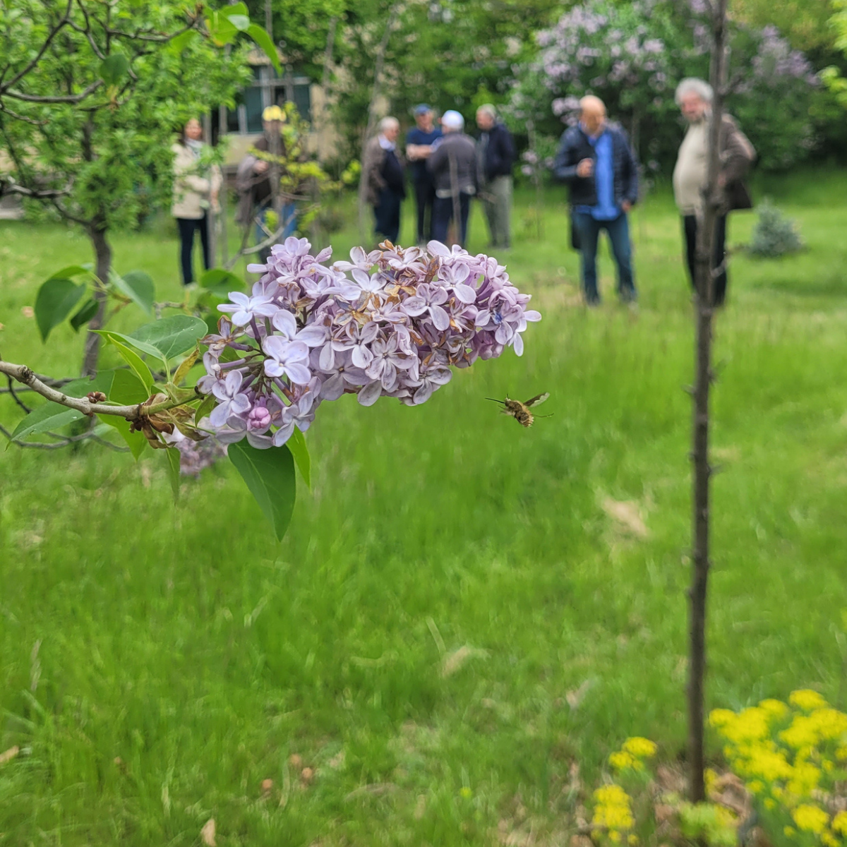 ИФТТ-БАН се включи в инициативата Мирен атом – зелена планета